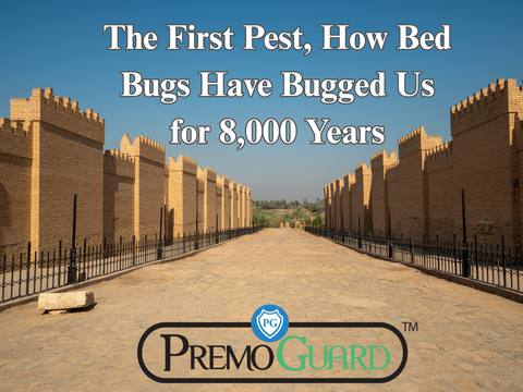 The First Pest, How Bed Bugs Have Bugged Us for 8,000 Years