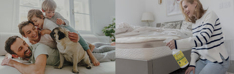 Get rid of bed bugs (and keep them from coming back)