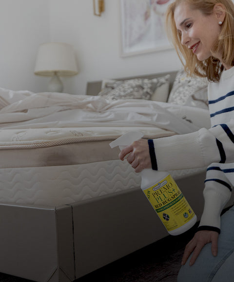 Get rid of bed bugs (and keep them from coming back)