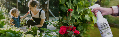 Guard Your Garden From Pests the Easy, Natural Way