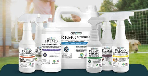 Kill bed bugs, mites, lice, and other pests - guaranteed!