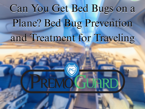 Can You Get Bed Bugs on a Plane? Bed Bug Prevention and Treatment for Traveling