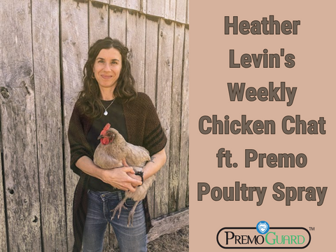 Heather Levin's Weekly Chicken Chat ft. Premo Poultry Spray