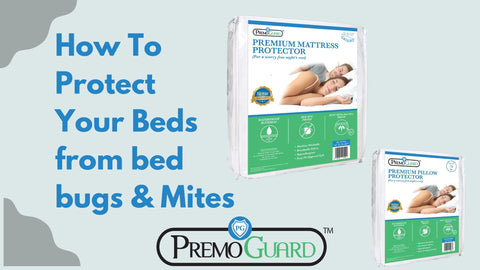 How To Protect  Your Beds from Mites & Bed Bugs