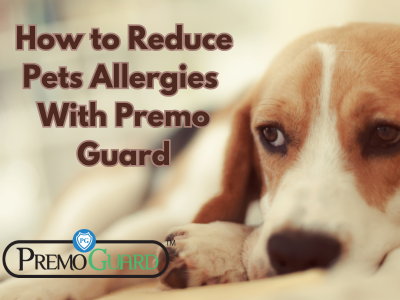 How to Reduce Pets Allergies With Premo Guard