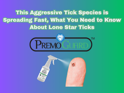 This Aggressive Tick Species is Spreading Fast, What You Need to Know About Lone Star Ticks