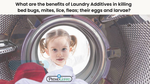 What are the benefits of Laundry Additives in killing bed bugs, mites, lice, fleas and their eggs and larvae?