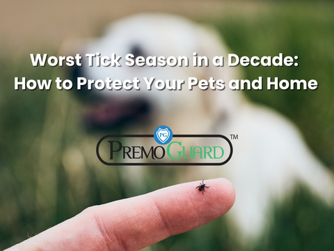 Worst Tick Season in a Decade: How to Protect Your Pets and Home