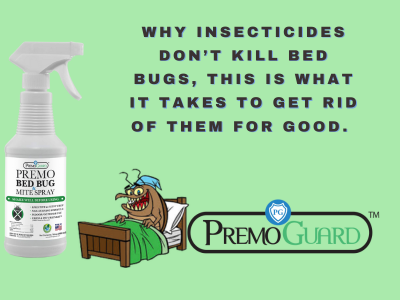 Why insecticides dont kill bed bugs for good