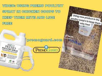 Mite Free Spring Cleaning with Premo Guard Poultry Spray